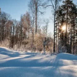 День 6. Завершение программы