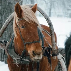 День 6. Завершение программы