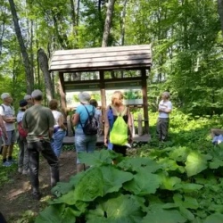 День 2. Пешеходная прогулка по экзотическим каньонам