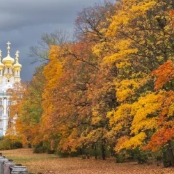 День 2. Экскурсия в Царское Село