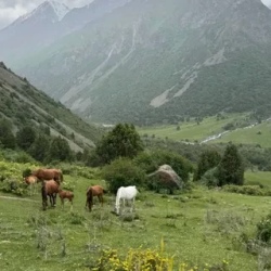 День 3. По следам Манаса и тайнам гор