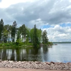 День 3. Парк Монрепо-Фабрика Кренделей