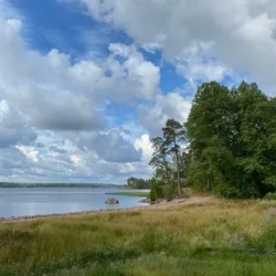 День 3. Парк Монрепо-Фабрика кренделей-Усадьба Бюргера