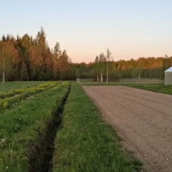 День 5. Дружный мир