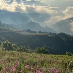 День 2. Фото-прогулка к источнику Нарзан и по Розе Хутор