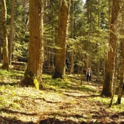 День 6. Лесная Прогулка В Высокогорье, термы