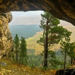 День 6. Лесная Прогулка В Высокогорье
