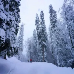 День 4. Горный курорт Роза Хутор.