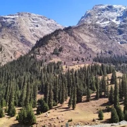 День 1. День прилета в Кыргызстан