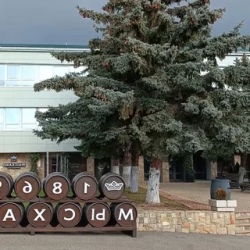 День 3. Винное комбо: винодельни новороссийска