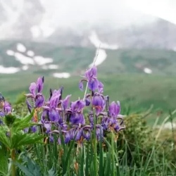 День 5. Хребет Каменное море — Каменномостский