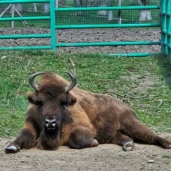 День 3. Заповедный мир.