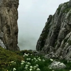 День 5. Просторы Альпийских лугов и величие высоких гор