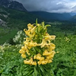 День 4. Дневка на приюте Фишт.