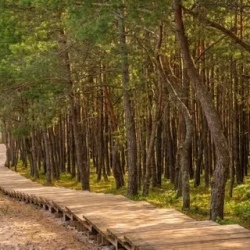 День 1. Замок «Шаакен», Куршская коса, Высота Эфа