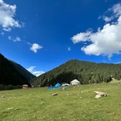 День 6. Ущелья и древние петроглифы.