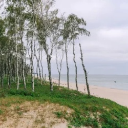 День 1. Прибытие в Калининград