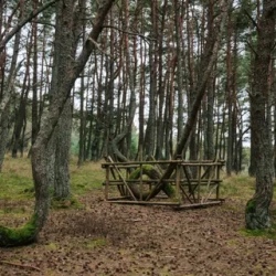 День 8. Экскурсионная программа (велосипедная прогулка)