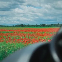 День 9. Экскурсионная программа (велосипедная прогулка)
