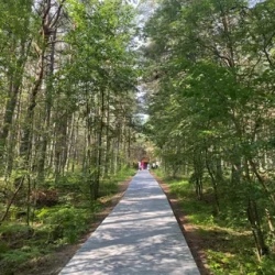 День 2. Куршская коса