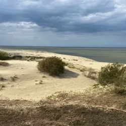День 2. Куршская коса