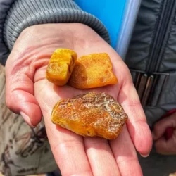 День 3. Экскурсия на выбор: