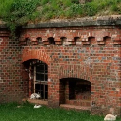 День 4. Экскурсия Форты Кёнигсберга, 5 часов