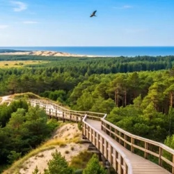 День 2. Куршская коса, Рыбачий, дюны и вечер у моря
