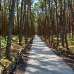 День 5. Экскурсия на Куршскую косу