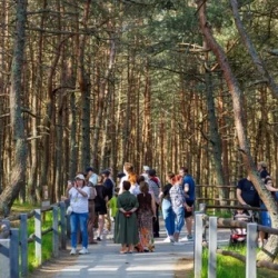 День 2. Экскурсионный день