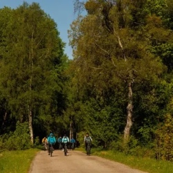 День 6. Экскурсионная программа