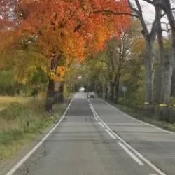 День 3. Светлогорск.