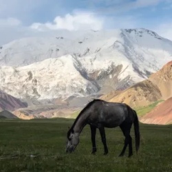 День 2. Переезд в Базовый лагерь (3600 м)