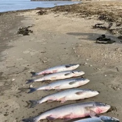 День 6. Рыбалка