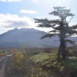 День 6. Перелет Курильск-Южно-Сахалинск