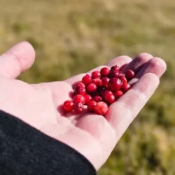 День 5. Головнинский клиф