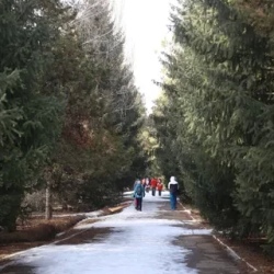 День 5. Третий день катания