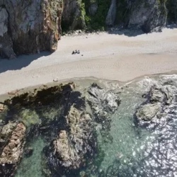 День 7. Устрицы и морские ежи