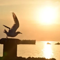 День 8. День вылета.
