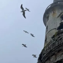 День 2. Самый красивый маяк Анива