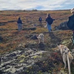 День 1. Северный обед, тундра с хаски, Териберка