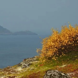 День 3. Териберка и Баренцево море