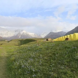 День 7. Перелёт в Ош.Памир(280 км, 5 ч).Луковая поляна 7км