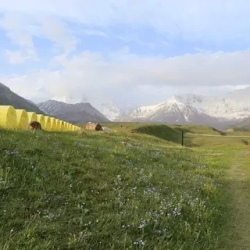 День 7. Перелёт в Ош.Памир(280 км, 5 ч).Луковая поляна 7км