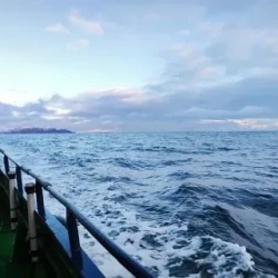 День 3. Териберка с морской прогулкой