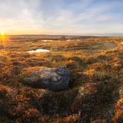 День 3. Бескрайняя тундра