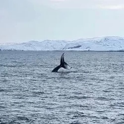 День 2. Териберка: квадротур и выход в море