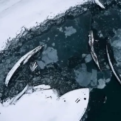 День 2. пляж с яйцами динозавра - Батарейский водопад