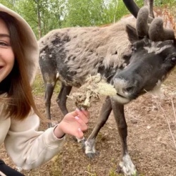 День 3. Селение Саамов - Мурманск
