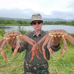 День 5. Крабовое сафари